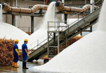 India Sugar Export Ban : केंद्र सरकार का बड़ा फैसला, चीनी के निर्यात पर सितंबर तक लगाई रोक India Sugar Export Ban